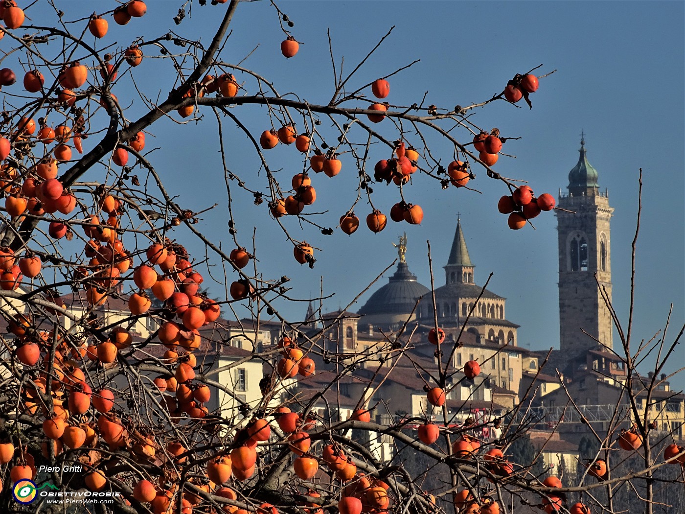 02 Da via Sudorno cupole e campanili di Citta Alta...tra rossi cachi.JPG